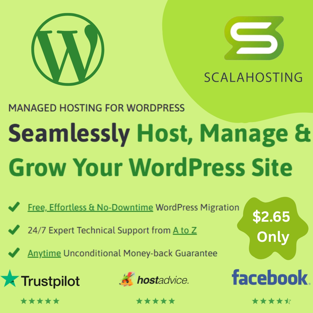 ScalaHosting Review 2025: Affordable, Secure, and Scalable Hosting for WordPress & WooCommerce
